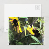Goldfinch Postkarte (Vorne/Hinten)