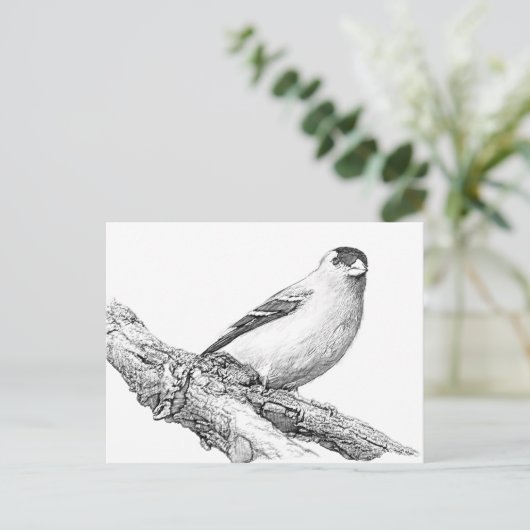 Goldfinch Postkarte (Stehend Vorderseite)