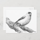 Goldfinch Postkarte (Vorne/Hinten)
