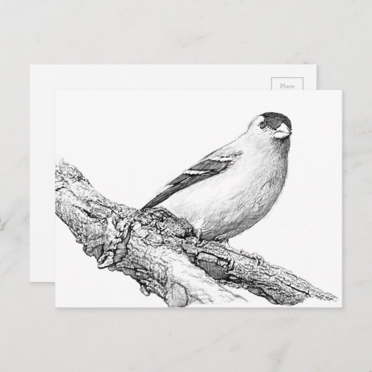 Goldfinch Postkarte (Vorne/Hinten)