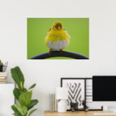 Goldfinch Print Poster (Heimbüro)