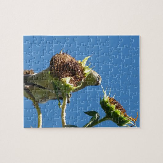 Goldfinch Puzzle (Horizontal)