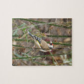 Goldfinch Puzzle (Horizontal)