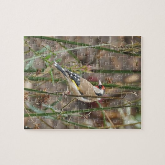 Goldfinch Puzzle (Horizontal)