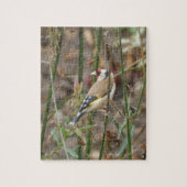 Goldfinch Puzzle (Vertikal)
