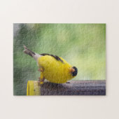 Goldfinch Puzzle (Horizontal)