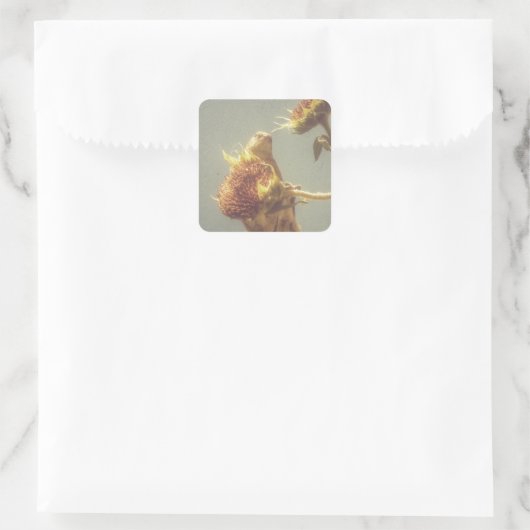 Goldfinch Quadratischer Aufkleber (Tasche)