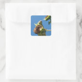 Goldfinch Quadratischer Aufkleber (Tasche)