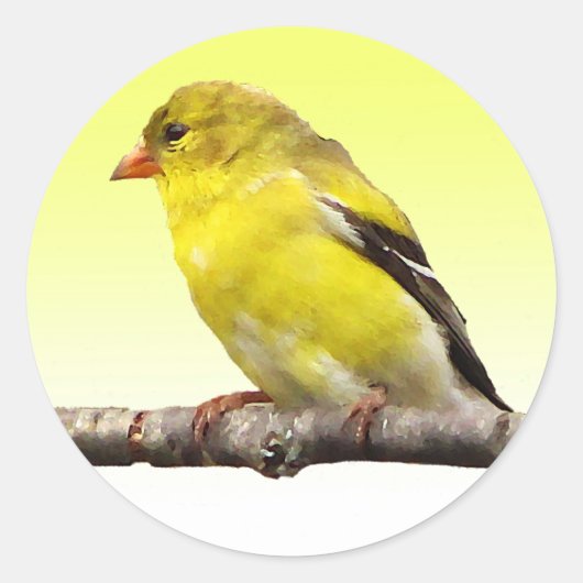 Goldfinch Runder Aufkleber (Vorderseite)