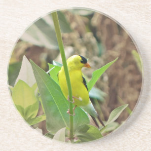 Goldfinch Sandstein Untersetzer