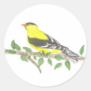 Goldfinch-Sticker Runder Aufkleber