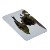 Goldfinch Sunflower Perch Magnet (Rechte Seite)