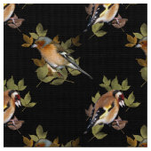 Goldfinch und Chaffinch auf Blatt Stoff (Nahaufnahme)