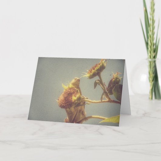 Goldfinch und eine Retro-Fotografie mit Sonnenblum Karte (Vorderseite)