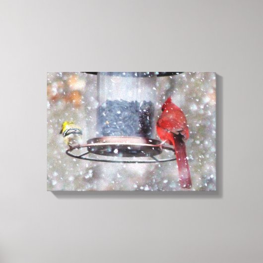 Goldfinch und Kardinal bei Feeder Leinwanddruck (Vorderseite)