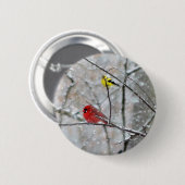 Goldfinch und Kardinal Button (Vorne & Hinten)