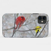 Goldfinch und Kardinal Case-Mate iPhone Hülle (Rückseite (Horizontal))
