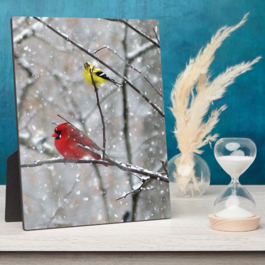 Goldfinch und Kardinal Fotoplatte (Seite)
