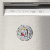 Goldfinch und Kardinal Magnet (In Situ (Geschirrspüler))