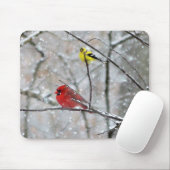 Goldfinch und Kardinal Mousepad (Mit Mouse)