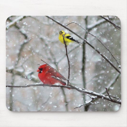 Goldfinch und Kardinal Mousepad (Vorne)