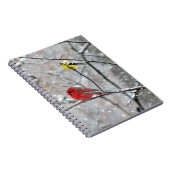 Goldfinch und Kardinal Notizblock (Rechte Seite)