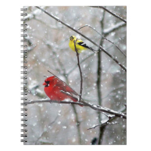 Goldfinch und Kardinal Notizblock