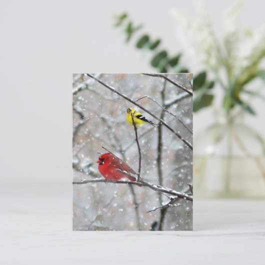 Goldfinch und Kardinal Postkarte (Stehend Vorderseite)