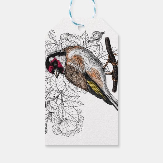 Goldfinch und Rose Geschenkanhänger (Rückseite)