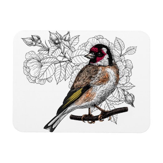 Goldfinch und Rose Magnet (Horizontal)