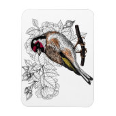 Goldfinch und Rose Magnet (Vertikal)