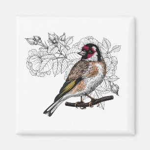 Goldfinch und Rose Magnet