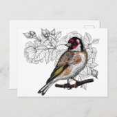 Goldfinch und Rose Postkarte (Vorne/Hinten)