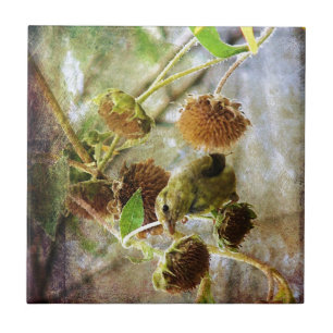 Goldfinch und Sonnenblumen Fliese