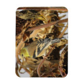 Goldfinch und Sonnenblumenmagazin Magnet (Vertikal)