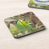 Goldfinch Untersetzer (Linke Seite)