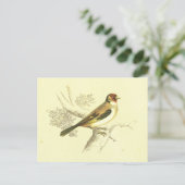 Goldfinch Vintag Bird Lithograph Postkarte (Stehend Vorderseite)