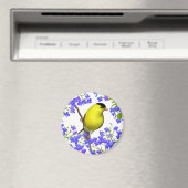Goldfinch von männlichen Amerikanern in Lobelia Bl Magnet (In Situ (Geschirrspüler))