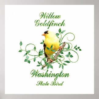Goldfinch Washington Staat Bird Poster