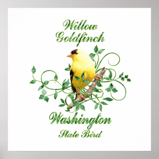 Goldfinch Washington Staat Bird Poster (Vorne)