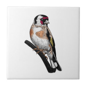 Goldfinch zeichnend fliese