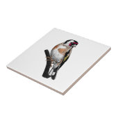 Goldfinch zeichnend fliese (Seite)