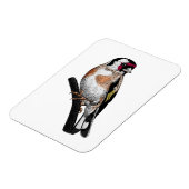 Goldfinch zeichnend magnet (Linke Seite)