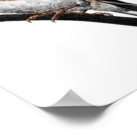 Goldfinch zeichnend poster (Ecke)