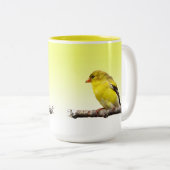 Goldfinch Zweifarbige Tasse (VorderseiteRechts)