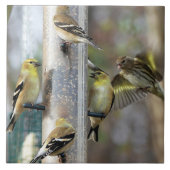 Goldfinches am Feeder Fliese (Vorderseite)