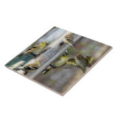 Goldfinches am Feeder Fliese (Seite)