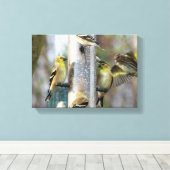 Goldfinches am Feeder Leinwanddruck (Insitu (Holzboden))