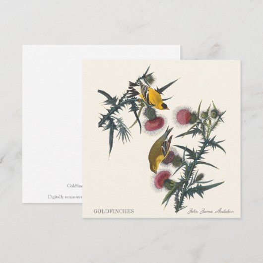 Goldfinches by John James Audubon (Vorne/Hinten)