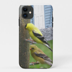 Goldfinches iPhone Case